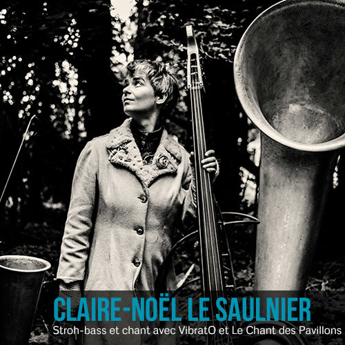Claire-Noël Le Saulnier